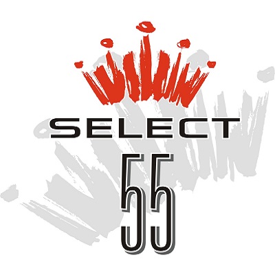 Budweiser Select 55 logo